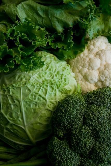 Cabbage, cauliflower and broccoli. Credit Tyler Jones, UF/IFAS